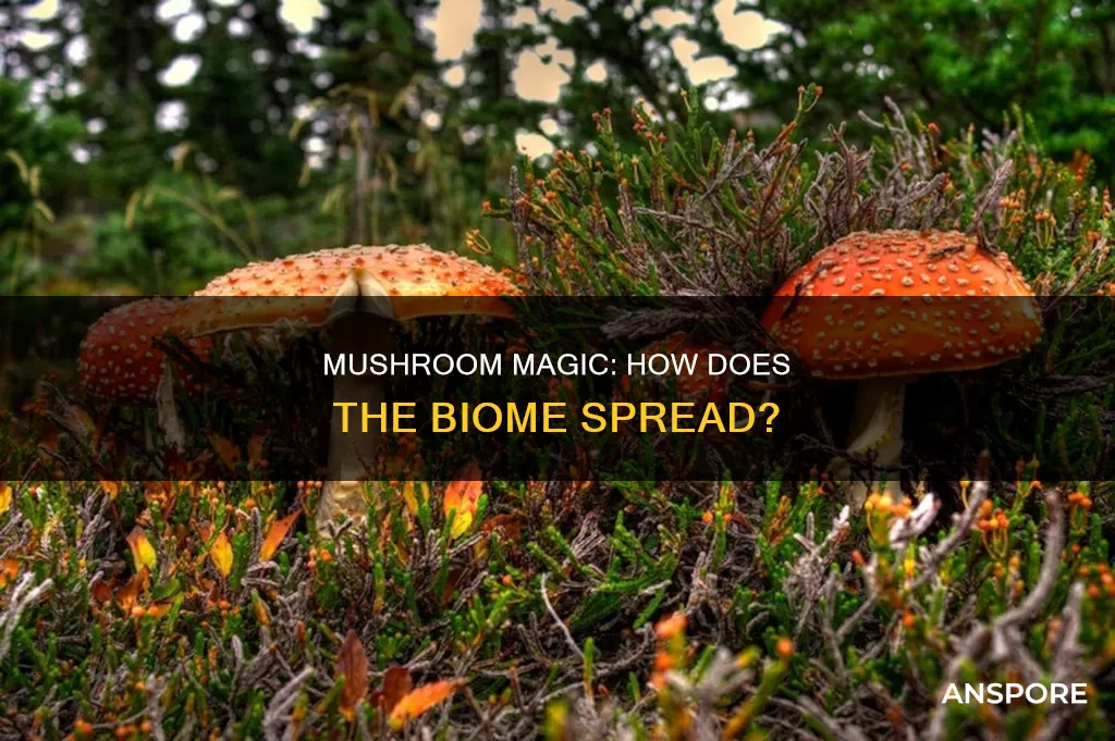 does mushroom biome sprea