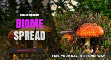 Mushroom Biome: How Does It Spread?