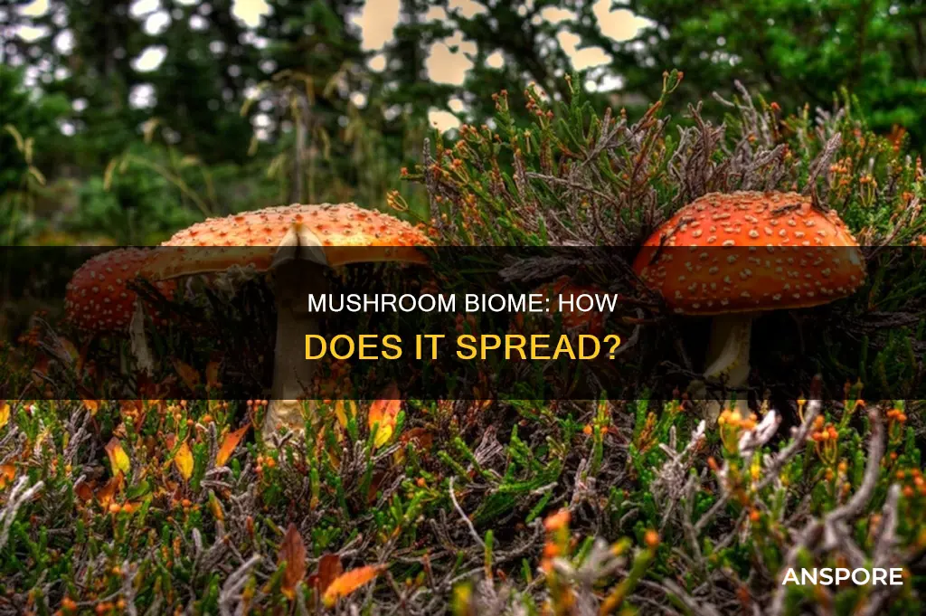 does mushroom biome spread