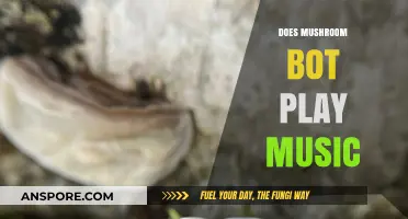 Mushroom Bot's Musical Abilities: Can It Play Music?