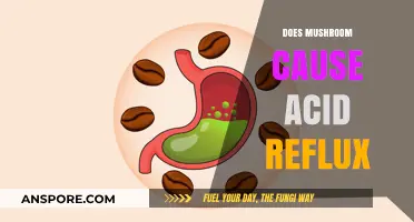 Mushrooms: Friend or Foe for Acid Reflux?