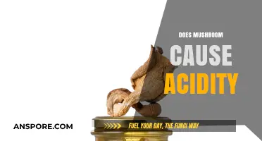 Mushroom Mystery: Acid Reflux Trigger?