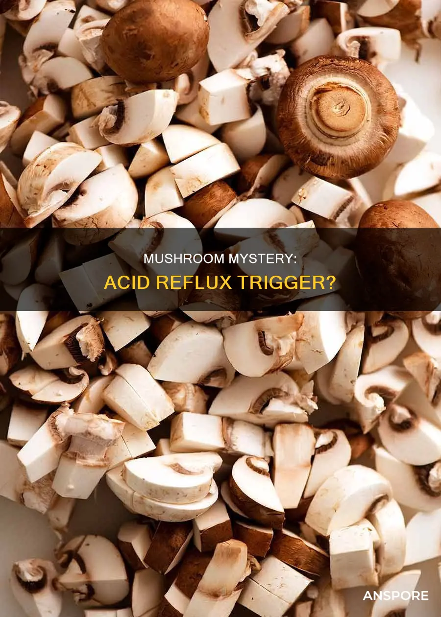 does mushroom cause acidity