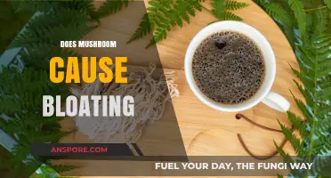 Mushroom Consumption: Does it Cause Bloating?