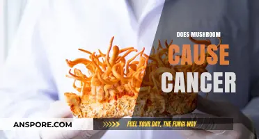 Mushrooms: Cancer Causers or Cancer Fighters?