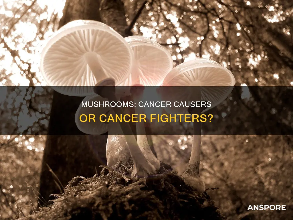 does mushroom cause cancer
