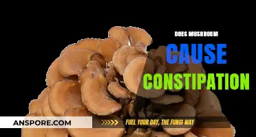Mushroom Consumption: Constipation or Smooth Digestion?