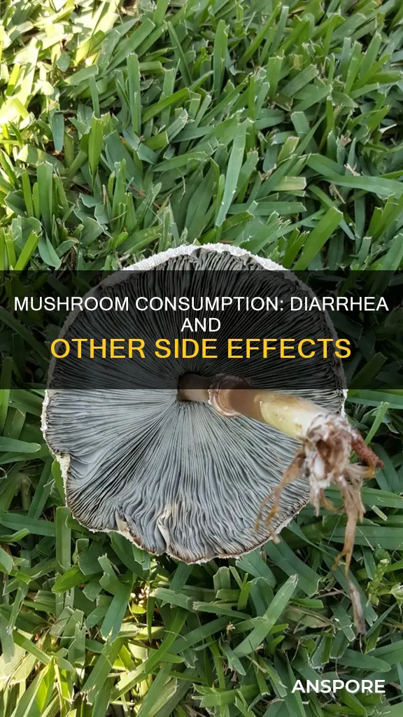 does mushroom cause diarrhea