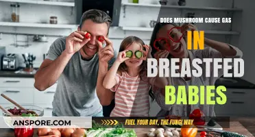 Mushroom Consumption: Gas in Breastfed Babies?