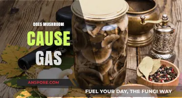 Mushroom Consumption and Gas: What's the Link?