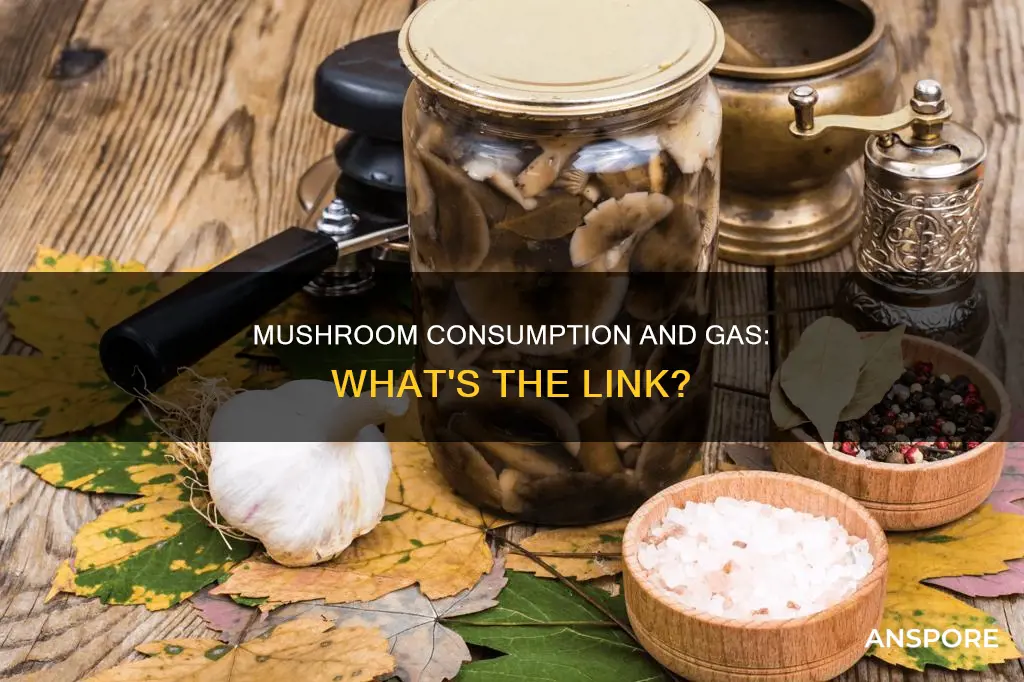 does mushroom cause gas