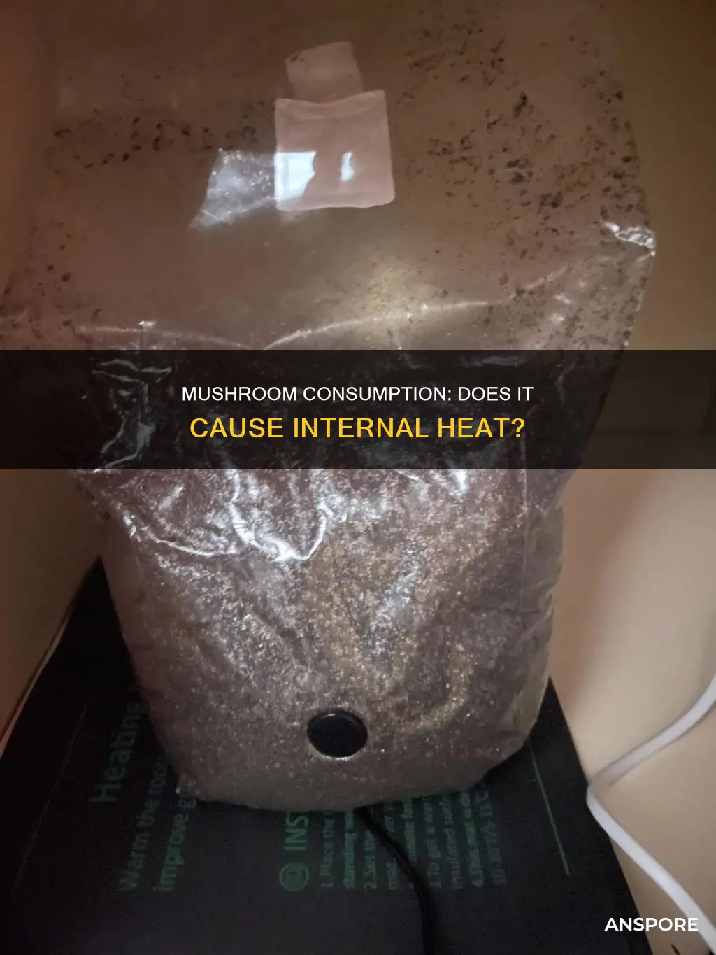 does mushroom cause heat