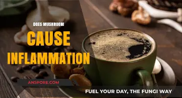 Mushrooms: Inflammation Friend or Foe?