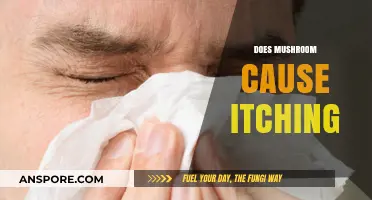 Mushroom Consumption: Itching and Allergies Explained