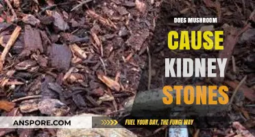 Mushrooms and Kidney Stones: A Risky Relationship?
