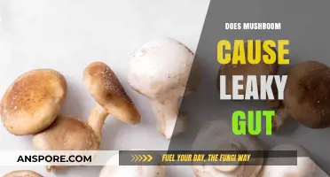 Mushrooms and Leaky Gut: What's the Connection?