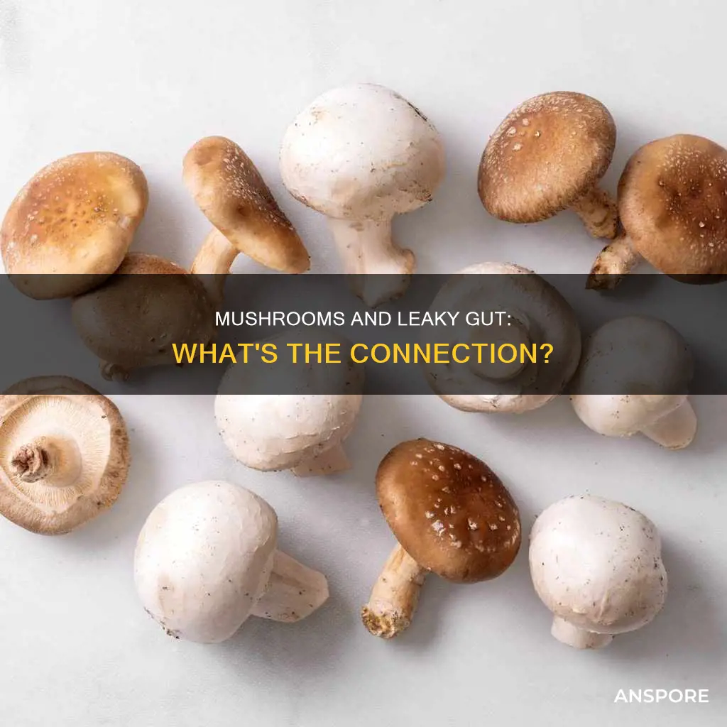 does mushroom cause leaky gut