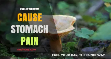 Mushroom Consumption: Stomach Pain or Bliss?