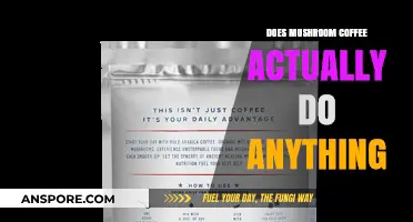 Mushroom Coffee: Superfood or Super-hype?