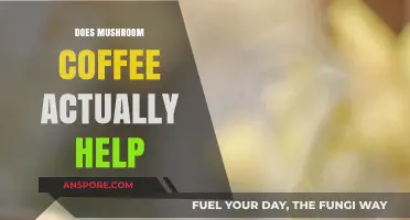 Mushroom Coffee: Does It Really Work?