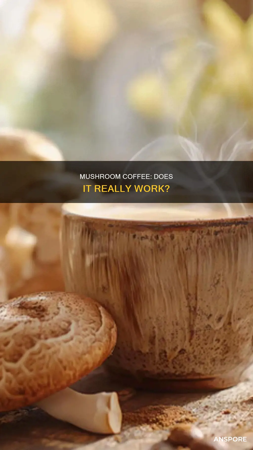 does mushroom coffee actually help