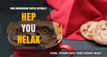 Mushroom Coffee: Relaxing Superfood or Just a Fad?