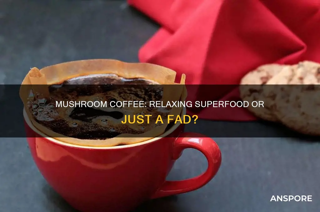 does mushroom coffee actually hep you relax