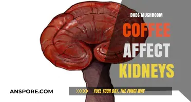 Mushroom Coffee: Kidney Health Benefits and Risks