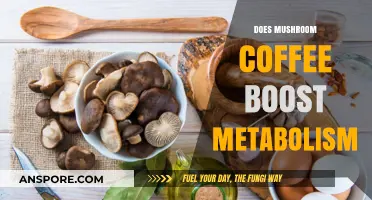 Mushroom Coffee: Metabolism Booster or Myth?