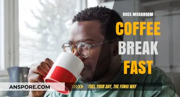 Mushroom Coffee: Fasting Friend or Foe?