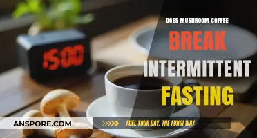Mushroom Coffee and Intermittent Fasting: Does It Break Your Fast?