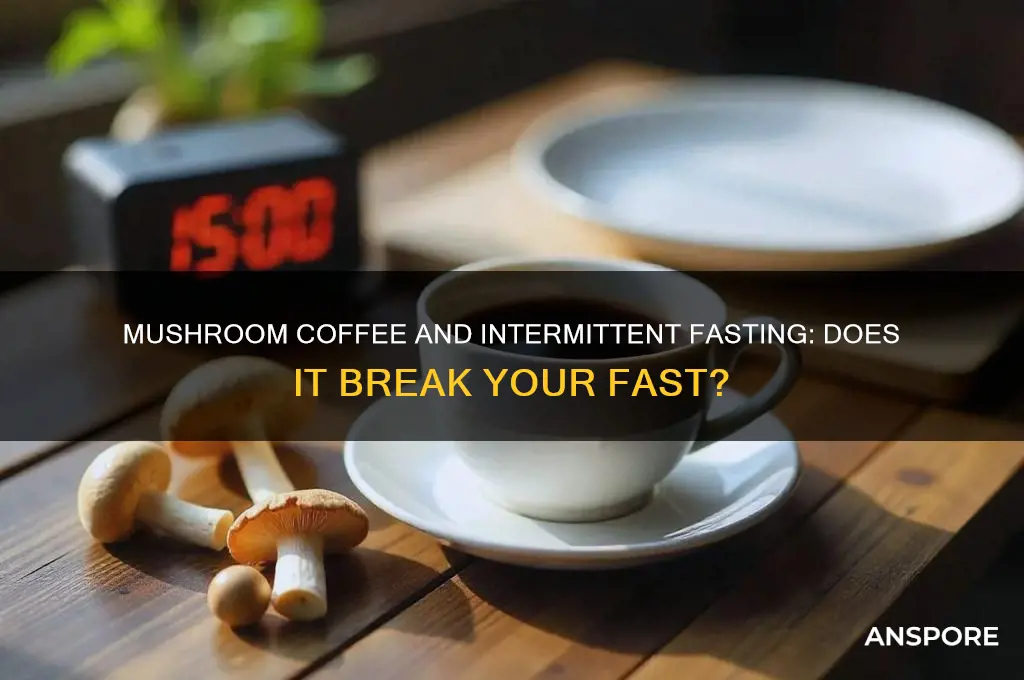 does mushroom coffee break intermittent fasting