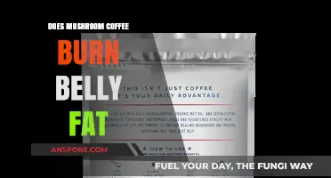 Mushroom Coffee: Belly Fat Burner or Myth?