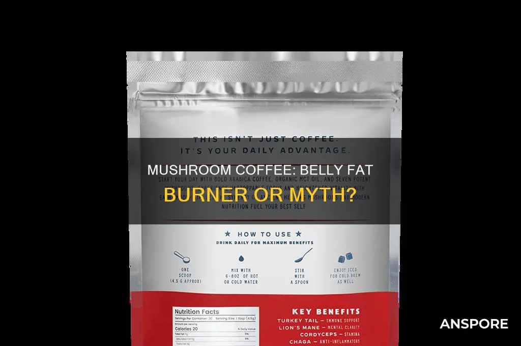 does mushroom coffee burn belly fat