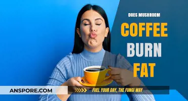 Mushroom Coffee: A Fat-Burning Brew?