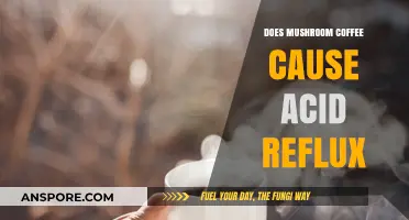 Mushroom Coffee and Acid Reflux: A Safe Brew?