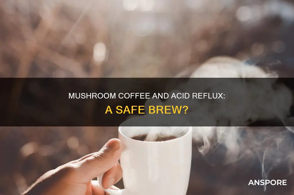does mushroom coffee cause acid reflux