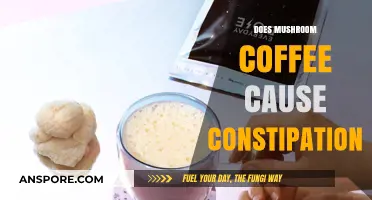 Mushroom Coffee and Constipation: What's the Link?