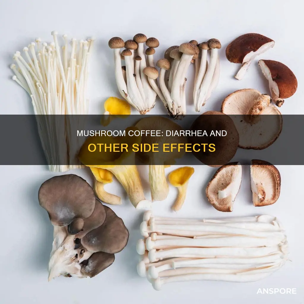 does mushroom coffee cause diarrhea