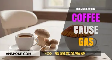 Mushroom Coffee and Gas: What's the Connection?