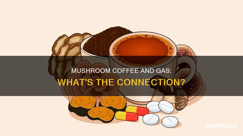 does mushroom coffee cause gas