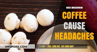 Mushroom Coffee Headaches: What's the Real Deal?