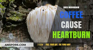 Mushroom Coffee and Heartburn: What's the Connection?