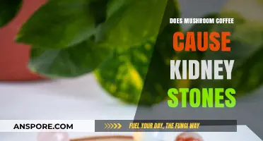 Mushroom Coffee and Kidney Stones: What's the Link?