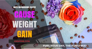 Mushroom Coffee: Weight Gain or Loss?