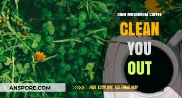 Mushroom Coffee: Detox or Health Hoax?