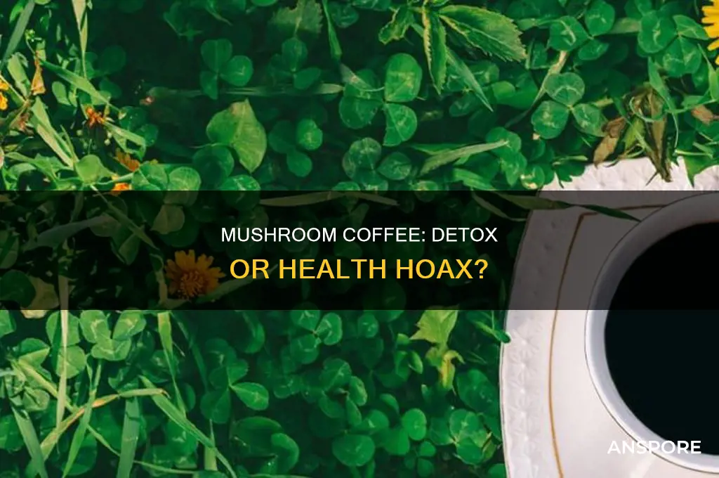 does mushroom coffee clean you out