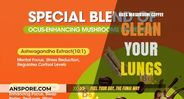 Mushroom Coffee: Lung Cleanse or Just Another Brew?