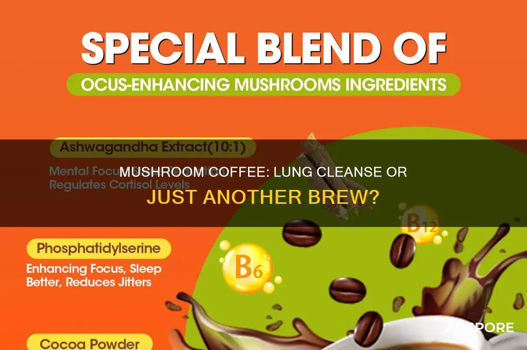 does mushroom coffee clean your lungs