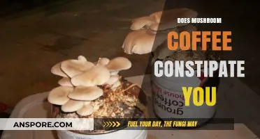 Mushroom Coffee: Constipation or Regularity?